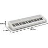 imageCasio Casiotone CTS1  61Key TouchSensitive Retro Keyboard  Sleek Portable Design for Beginners to Pros  Stereo Grand Piano  60 AiX Tones  USBMIDI Connectivity  RedWhite