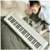 imageCasio Casiotone CTS1  61Key TouchSensitive Retro Keyboard  Sleek Portable Design for Beginners to Pros  Stereo Grand Piano  60 AiX Tones  USBMIDI Connectivity  RedWhite