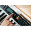 imageCasio Casiotone CTS200RD  61Key Portable Keyboard for Beginners  400 Tones 77 Rhythms LCD Display Dance Music Mode USBMIDI Stereo Speakers  Includes Power Supply ampamp Music Rest  RedWhite