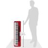 imageCasio Casiotone CTS200RD  61Key Portable Keyboard for Beginners  400 Tones 77 Rhythms LCD Display Dance Music Mode USBMIDI Stereo Speakers  Includes Power Supply ampamp Music Rest  RedRed