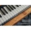 imageCasio Casiotone CTS200RD  61Key Portable Keyboard for Beginners  400 Tones 77 Rhythms LCD Display Dance Music Mode USBMIDI Stereo Speakers  Includes Power Supply ampamp Music Rest  RedBlack