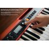 imageCasio Casiotone CTS200RD  61Key Portable Keyboard for Beginners  400 Tones 77 Rhythms LCD Display Dance Music Mode USBMIDI Stereo Speakers  Includes Power Supply ampamp Music Rest  RedRed