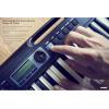 imageCasio Casiotone CTS300  Portable Keyboard  TouchSensitive  400 Tones 77 Rhythms ampamp Pitch Bend  Ideal for Music Creation Anytime AnywhereKeyboard Only