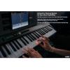 imageCasio Casiotone LKS250  61Key Lighted Portable Keyboard  Touch Response Key Lighting System 400 Tones Dance Music Mode  60 Songs  4Stage Lesson SystemKeyboard Only