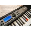 imageCasio Casiotone LKS450  61Key TouchResponsive Portable Keyboard with Key Lighting System  600 Tones 200 Rhythms StepUp Lessons USBMIDI Surround Sound Chordana App CompatibleKeyboard