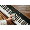imageCasio Privia PXS1100  88Key TouchResponsive Weighted Digital Piano  UltraPortable  Superior Sound  German Grand Tone Bluetooth Casio Music Space App  Gloss White FinishBlack
