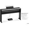 imageCasio Privia PXS1100  88Key TouchResponsive Weighted Digital Piano  UltraPortable  Superior Sound  German Grand Tone Bluetooth Casio Music Space App  Gloss White FinishBlack