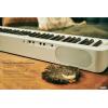imageCasio Privia PXS1100  88Key TouchResponsive Weighted Digital Piano  UltraPortable  Superior Sound  German Grand Tone Bluetooth Casio Music Space App  Gloss White FinishWhite