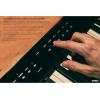 imageCasio Privia PXS3100  88Key Weighted Digital Piano  Slim ampamp Elegant  700 Tones 200 Rhythms Bluetooth AudioMIDI Touch Sensor Controls AudioMIDI Recorders ampamp Editable DSP EffectsDigital PianosPXS3100