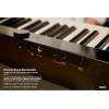 imageCasio Privia PXS5000 Portable Digital Piano with 88 Hybrid Weighted Keys 23 Tones Touch Sensor Controls Sustain Pedal Bluetooth USB AC Adapter 16W Speakers Gloss Black Finish PXS5000BK